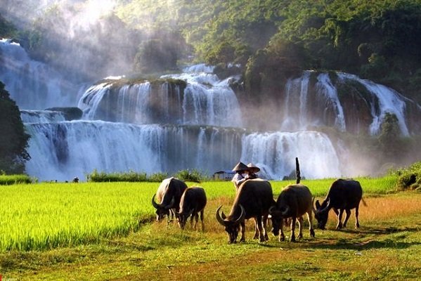 belle-photo-de-cascade-de-ban-gioc-vietnam