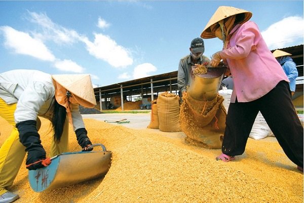 Mekong-Delta-Vietnam-Reis-Getreidespeicher