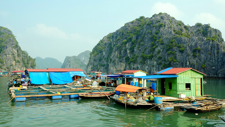 Die Insel Cap La Halong Vietnam