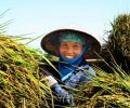femme vietnamienne-min