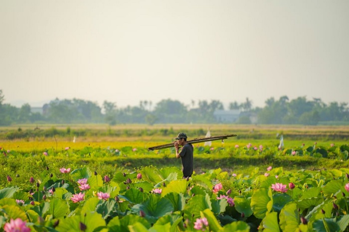 la chu hue vietnam reisen