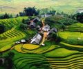 rizieres-a-sapa