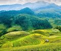Das reisfeld in der terrasse von Mu Cang Chai Yen Bai Vietnam