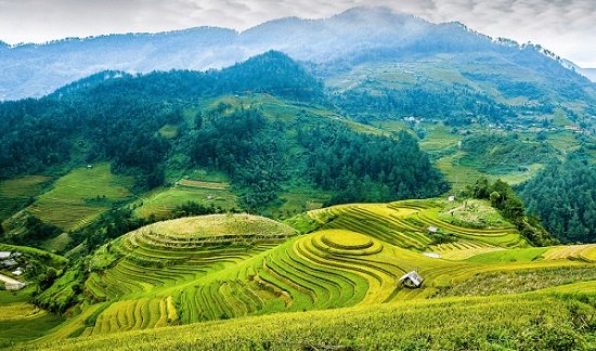 Das reisfeld in der terrasse von Mu Cang Chai Yen Bai Vietnam