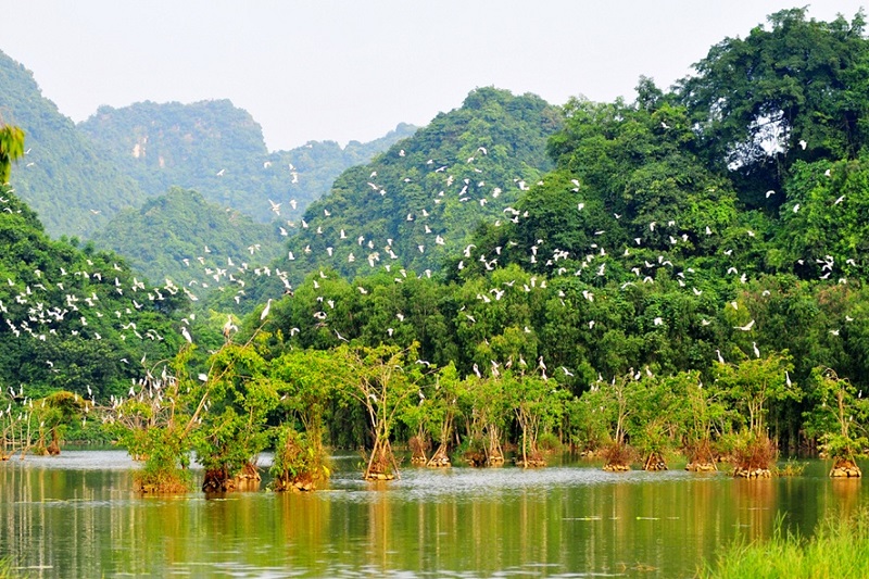 Thung Nham Vogelpark Ninh Binh Vietnam