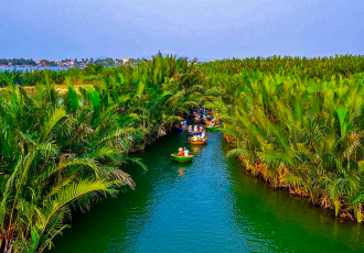Hoi An Vietnam reisen Kokosnusswald