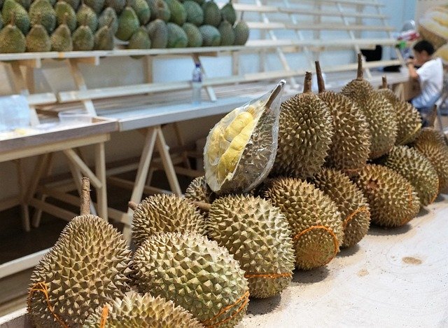 Durian-vietnam