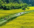 Kreuzfahrt-ninh-binh