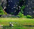 thung-nham-ninh-binh-vietnam