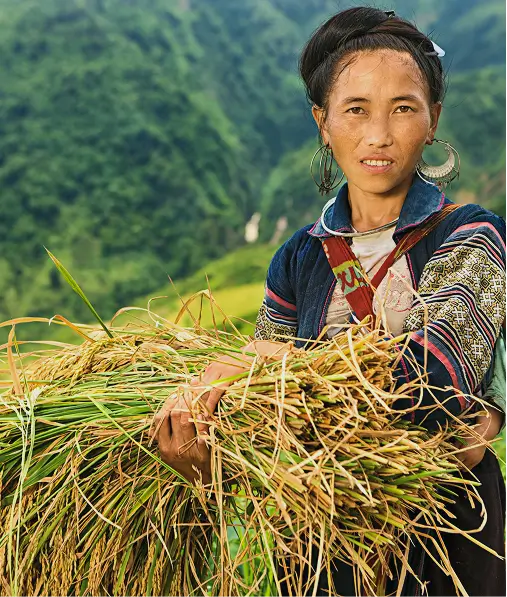 Ethnische Gruppen in Sapa