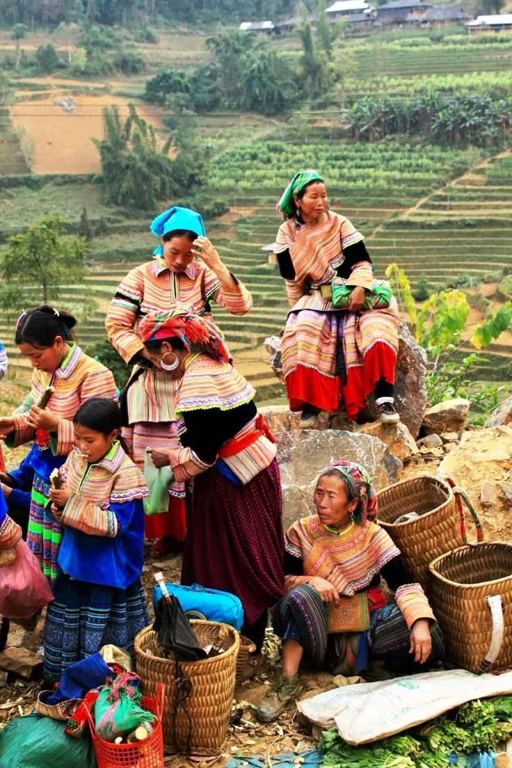 bac ha vietnam