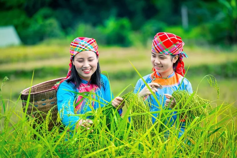 Authentische Vietnam Rundreise
