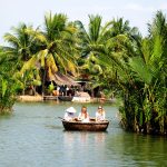 Kokosnusswald von Hoi An