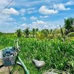 vung-liem-mekongdelta-vietnam