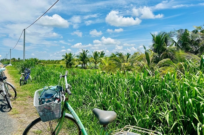vung-liem-mekongdelta-vietnam