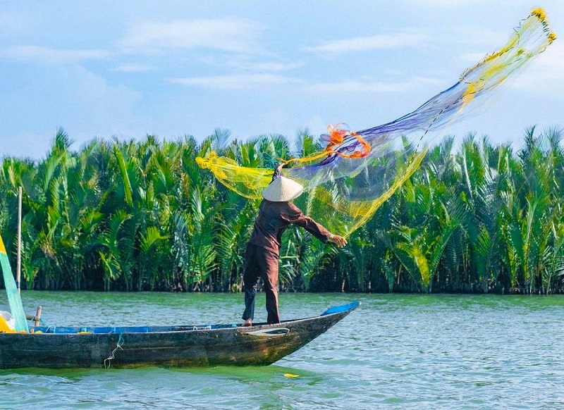 kokosnusswald-hoi-an-vietnam