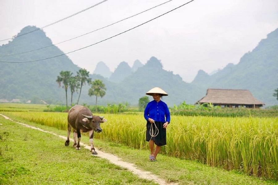Vietnam-Reise
