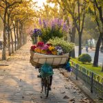 Frühling in Hanoi
