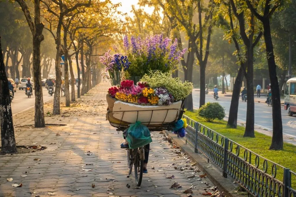 Frühling in Hanoi Vietnam