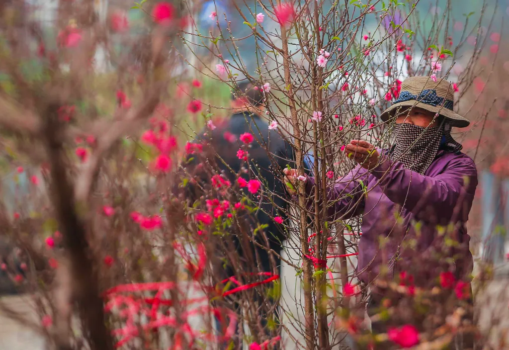 Tet in Vietnam