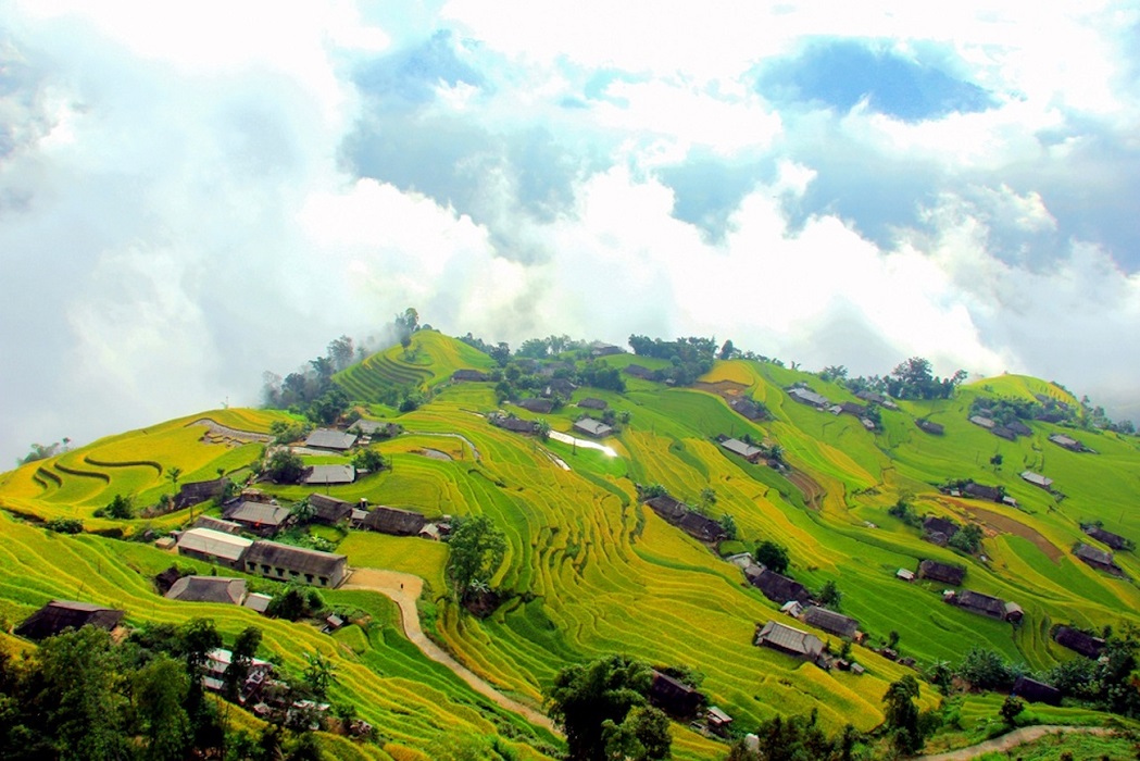 ban phung hoang su phi ha giang