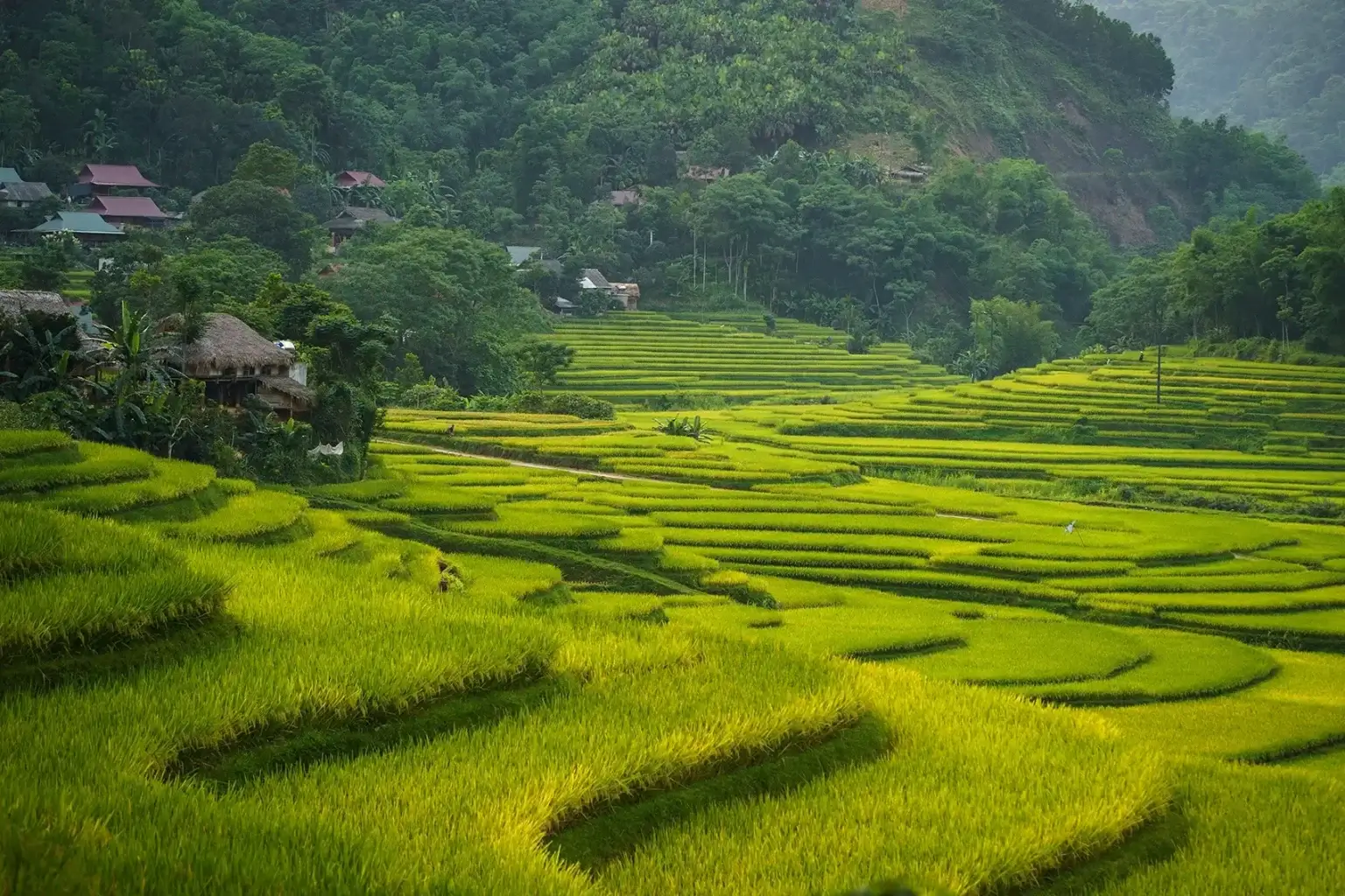pu luong - vietnam