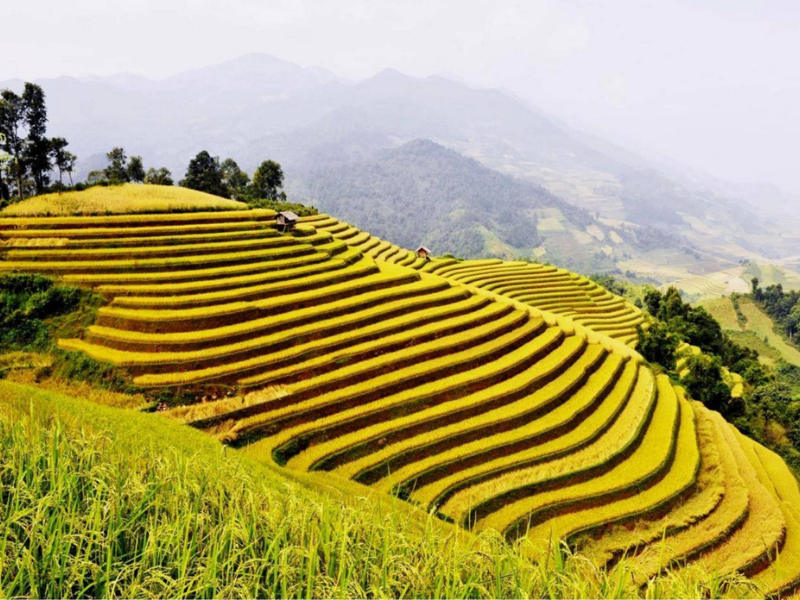 Sapa: Was tun, was sehen und wann abreisen? Der vollständige Reiseführer für Nordvietnam