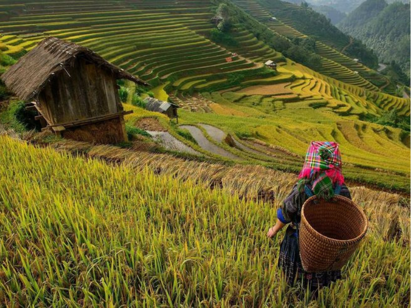 Pu Luong Vietnam: Vollständiger Reiseführer zur Entdeckung des Naturschutzgebiets