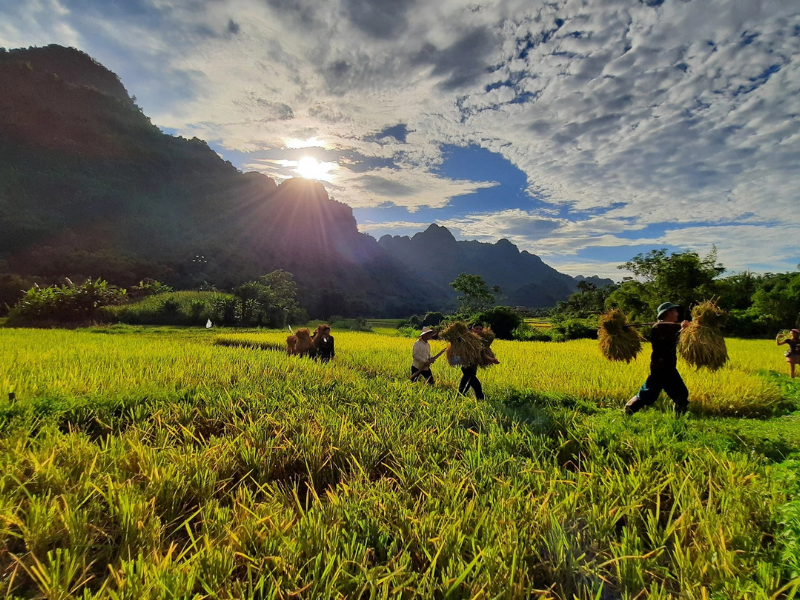 Lam Thuong, das verborgene und friedliche Tal von Yen Bai