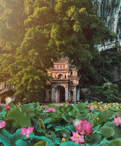 Was kann man in Ninh Binh unternehmen? Top 6 der unverzichtbaren Aktivitäten