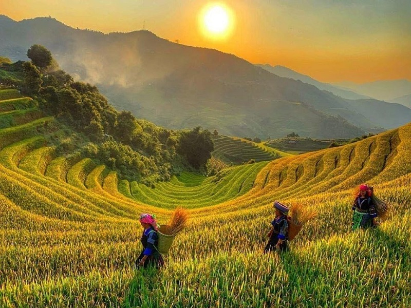 Hoang Su Phi