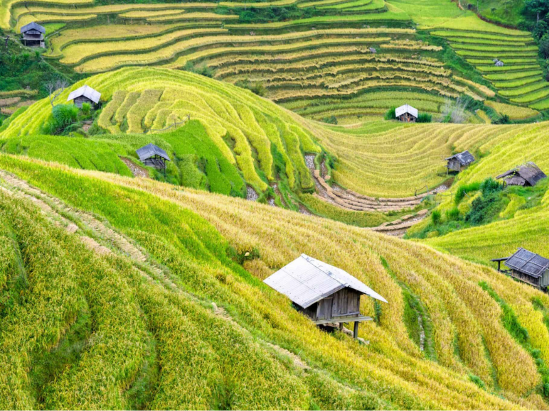 Voyage au Vietnam – Tout ce qu’il faut savoir