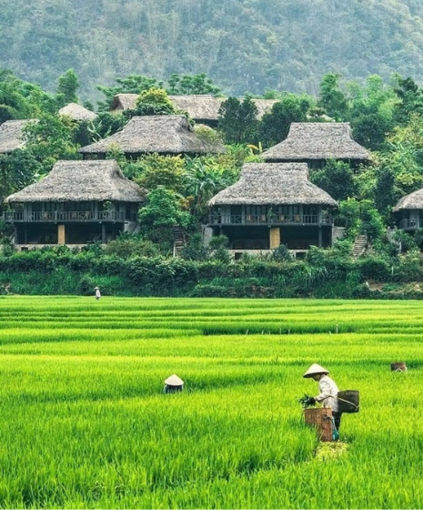 Mai Chau in 2 Tagen besuchen: Wandern, lokale Kultur und Unterkunft bei Einheimischen