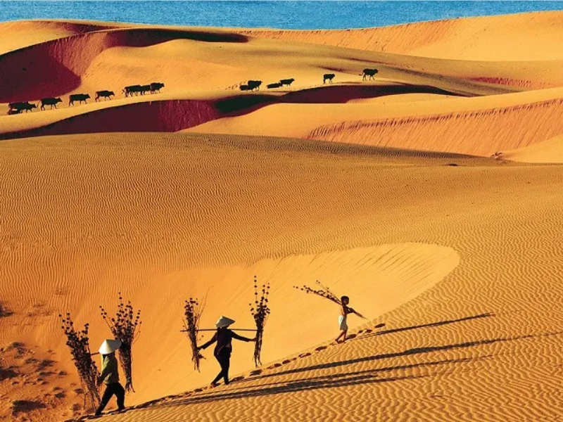 Top 10 Aktivitäten in Mui Ne, Vietnam
