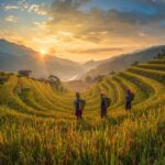 Mu Cang Chai
