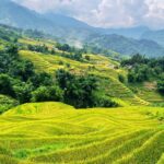 Y linh ho lao chai sapa vietnam