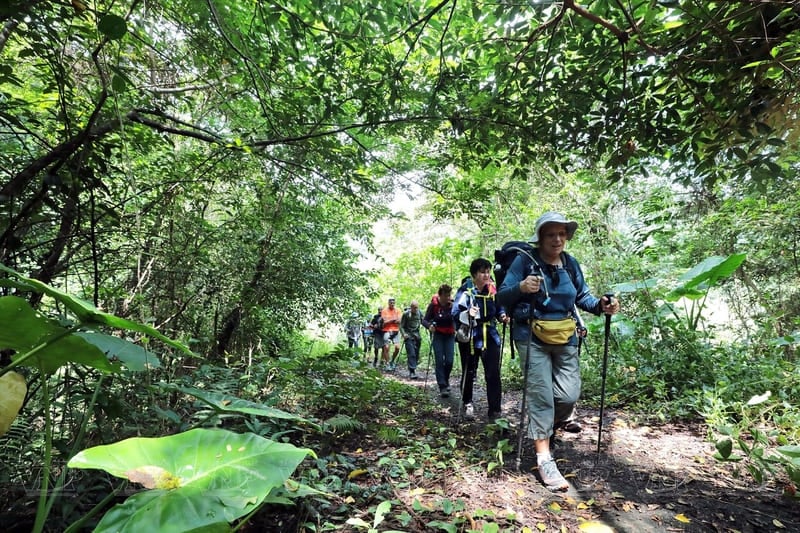 Les cinq meilleurs parcs nationaux du Vietnam