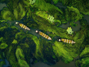 Das Mekong-Delta: Vollständiger Führer zur Reiskammer Vietnams