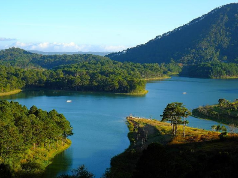 Tuyen Lam See