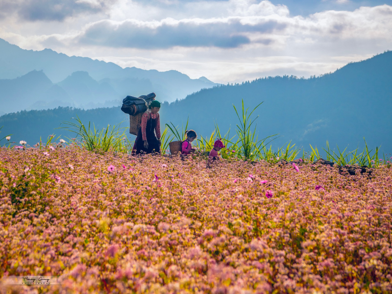 Hà Giang: Das geheime Juwel im Norden Vietnams