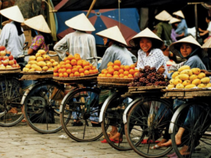 Das Mekong-Delta: Der umfassende Reiseführer zur Reisschüssel Vietnams