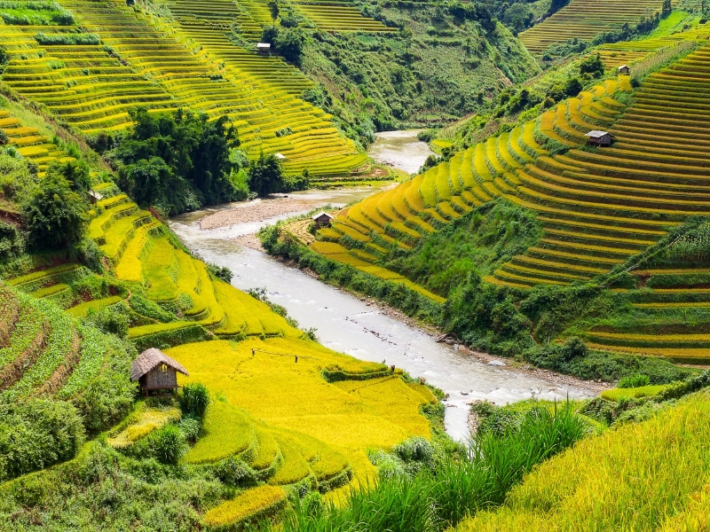 Vietnam im August: Praktischer Leitfaden für eine gelungene Reise