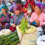 marche de bac ha