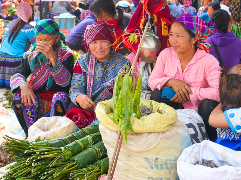 marche de bac ha