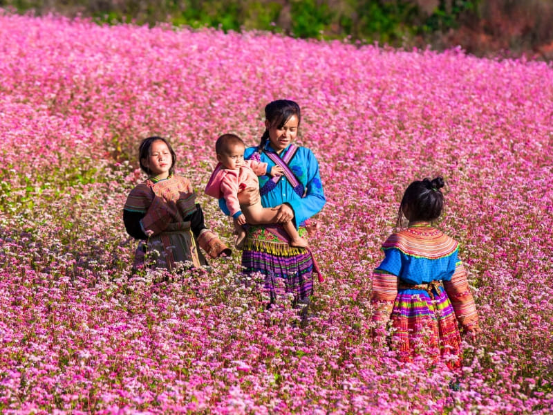 Vietnam im November: Klima, Aktivitäten und Highlights