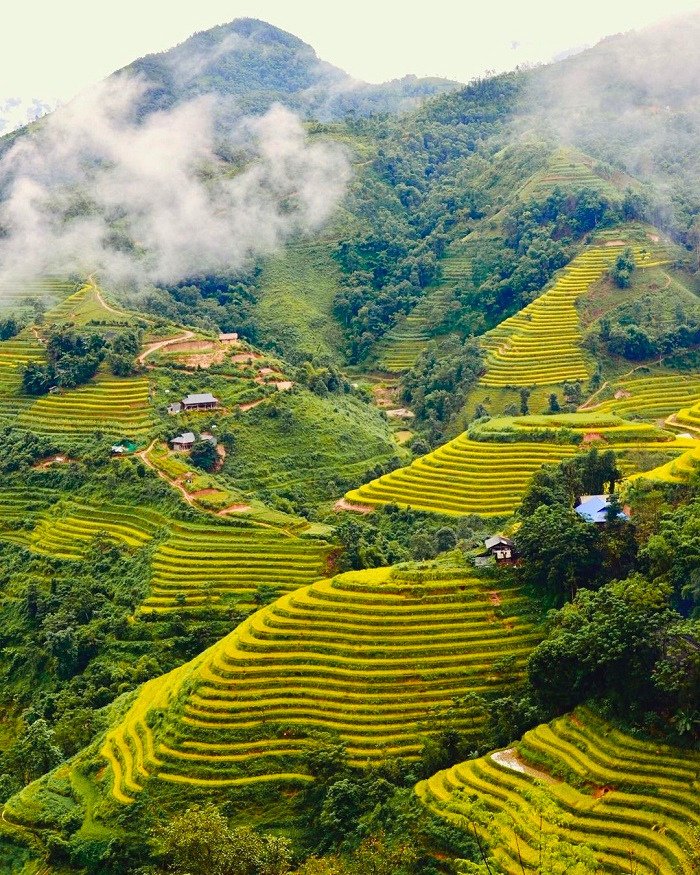 Bản Luốc Hoang Su Phii