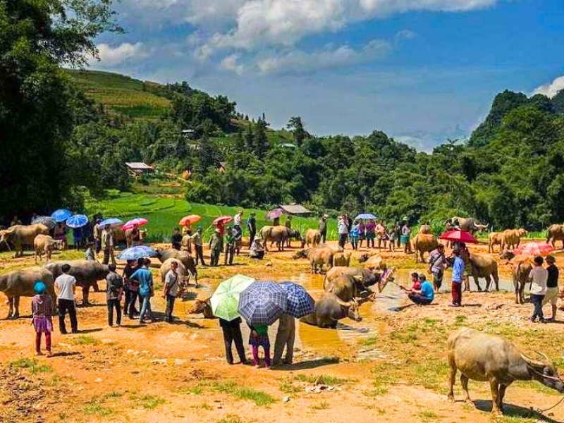 Typische Szene des Sin Cheng-Marktes – ethnische Märkte in Sapa