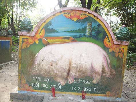 Ein Grab auf dem Friedhof der fünfzehigen Schweine, hinter dem Gelände der Pagode