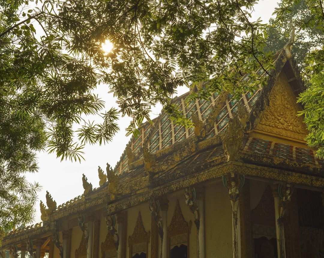 Sonnenlicht, das durch die Bäume über dem Dach der Pagode fällt