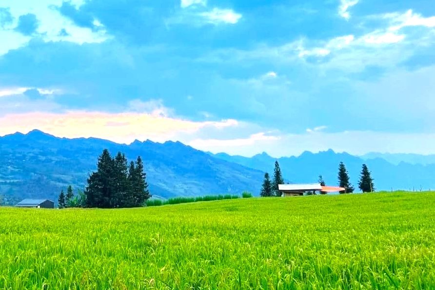 Plateau Suoi Thau: Die „kleine Schweiz“ von Ha Giang